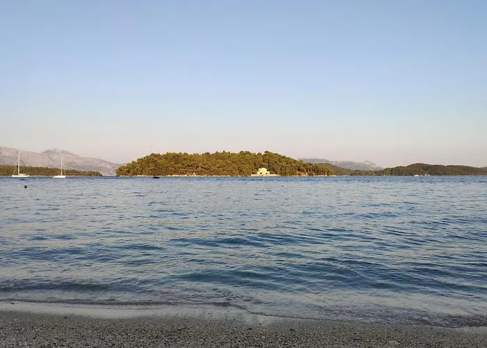 Apartman Two Palm Trees *