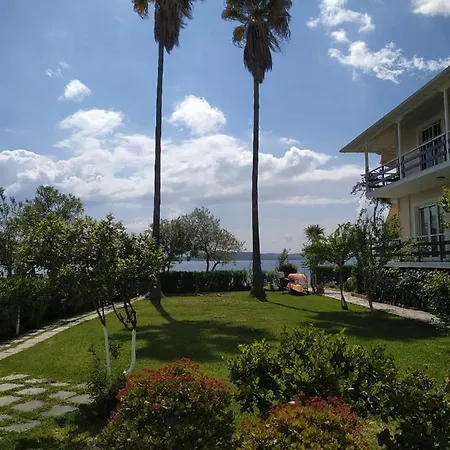 Two Palm Trees Appartamento