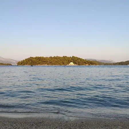 Appartamento Two Palm Trees *